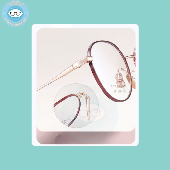 gọng kim loại mã 6202